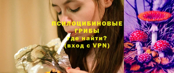 ешки Заводоуковск